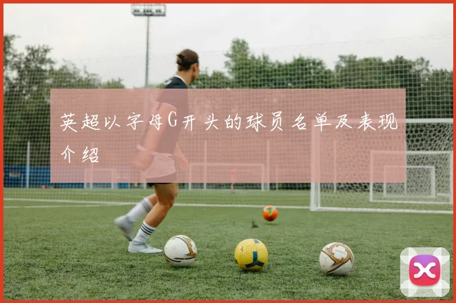 英超以字母G开头的球员名单及表现介绍