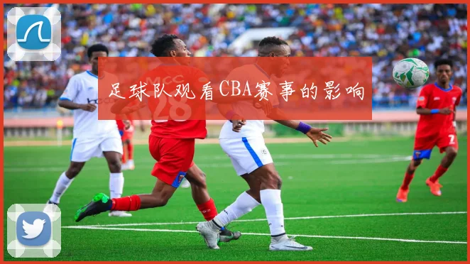 足球队观看CBA赛事的影响