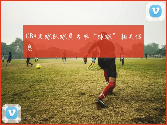 CBA足球队球员名单“球球”相关信息